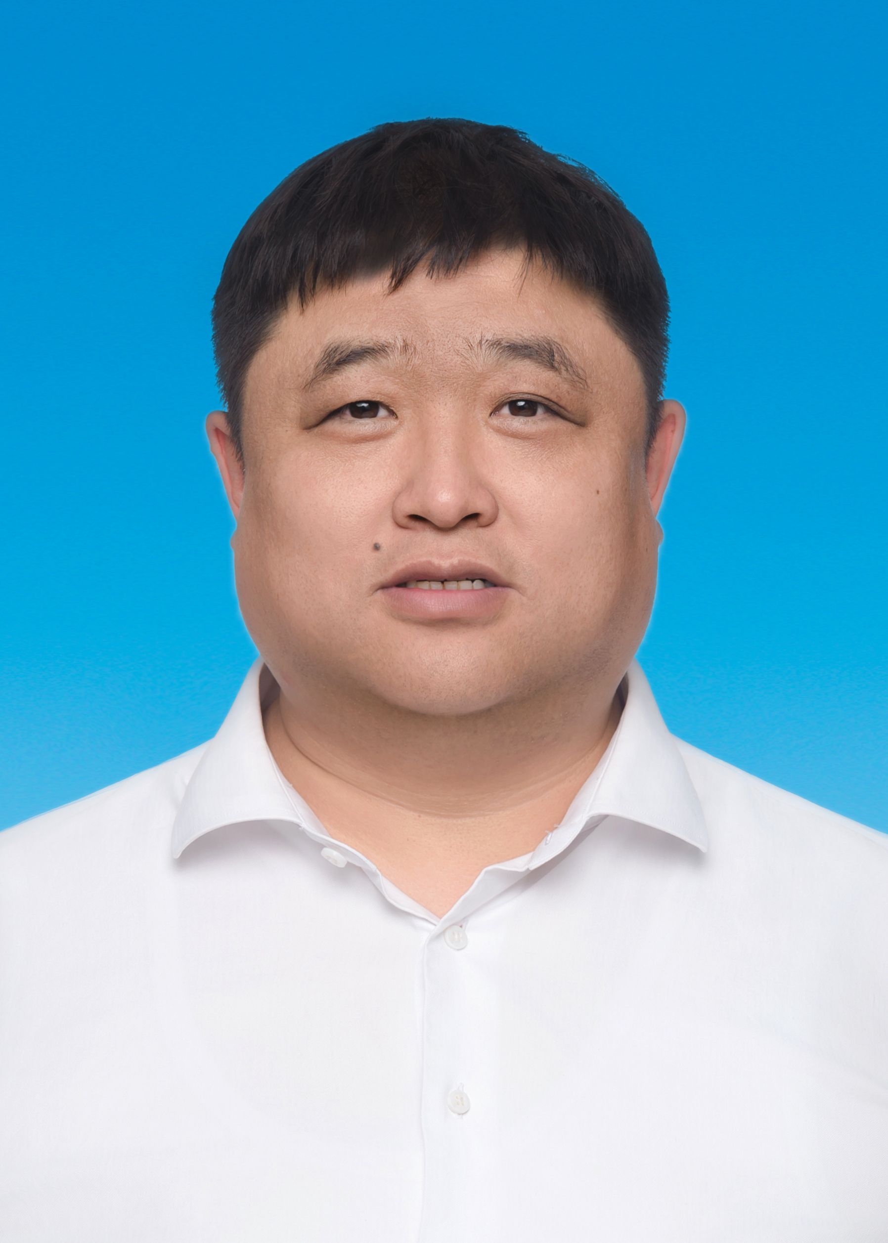 王泽胤